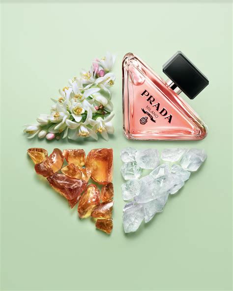 prada cinema dupe